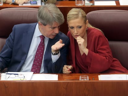 &Aacute;ngel Garrido y Cristina Cifuentes en un pleno de la Asamblea de Madrid. 