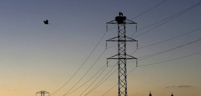 Dos cigüeñas permanecen en el nido de la torre de un tendido eléctrico. 