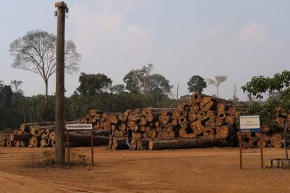 Uma pilha de troncos em uma empresa madeireira na Floresta Nacional de Jacundá, em Rondônia.