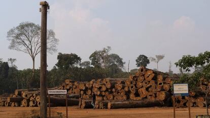 Uma pilha de troncos em uma empresa madeireira na Floresta Nacional de Jacundá, em Rondônia.