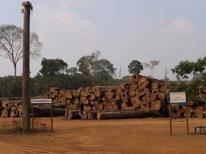 Uma pilha de troncos em uma empresa madeireira na Floresta Nacional de Jacundá, em Rondônia.