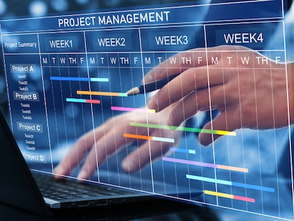 Máster Universitario en Gestión de Proyectos / Project Management