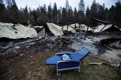 Una silla entre las ruinas de la residencia de ancianos Cypress Meadows Post-Agute, arrasada por el Camp Fire, en Paradise (California).