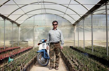 Michalis Kourla, 58 años, dueño de un vivero, posa en uno de sus invernaderos en Peristeri, en el Peloponeso. "Las ventas han bajado un poco pero en general los estamos haciendo bien".