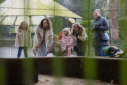 Cuando los hijos ven que la familia que han conocido va a cambiar es normal que sientan inseguridad, rechazo y frustración.