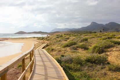 Empezar con buen pieLa agencia de senderismo Arawak (www.arawakviajes.com) organiza viajes de cinco días para cambiar de año recorriendo los parques naturales de Calblanque (foto 4) y Calnegre (Murcia), Cabo de Gata (Almería) o el Camiño dos Faros, una senda de 200 kilómetros que enlaza los faros de la Costa da Morte (A Coruña), de Malpica a Finisterre. Precio: entre 220 y 410 euros por persona. Todos ellos incluyen el autocar desde Madrid, alojamiento en hoteles de tres y cuatro estrellas, media pensión, seguro y guía. 