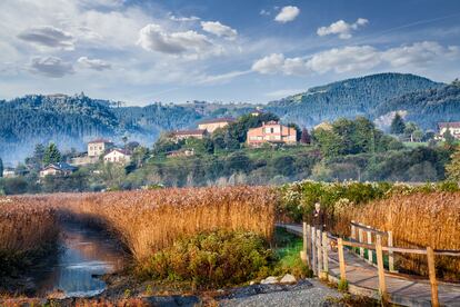 Rio Oka, na Reserva da Biosfera de Urdaibay.