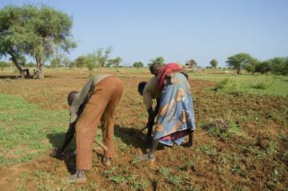 The FAO believes that farmers are an essential element to ending world hunger.