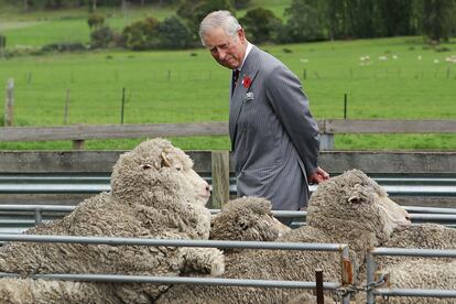 Carlos III en 2012, cuando aún era el príncipe de Gales y heredero al trono, visitando una granja de ovejas en Australia.