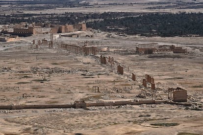 Vistas del yacimiento de Palmira desde el Castillo.