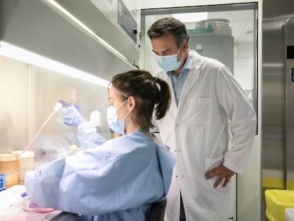 Dos científicos del instituto de Oncología del Vall d'Hebron, en un laboratorio de cultivo de muestras derivadas de pacientes con cáncer.