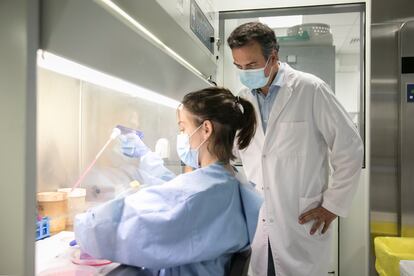 Dos científicos del instituto de Oncología del Vall d'Hebron, en un laboratorio de cultivo de muestras derivadas de pacientes con cáncer.