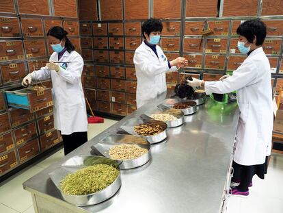Trabajadoras preparan productos médicos tradicionales chinos el 5 de febrero en Binzhou. 