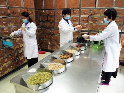Trabajadoras preparan productos médicos tradicionales chinos el 5 de febrero en Binzhou.