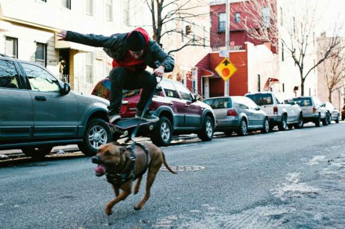 Cuando su perro es ‘runner’ | EL PAÍS Semanal | EL PAÍS