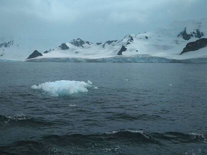 Pequeño iceberg frente a las costas del sur de la isla Livingston, Antártida. 