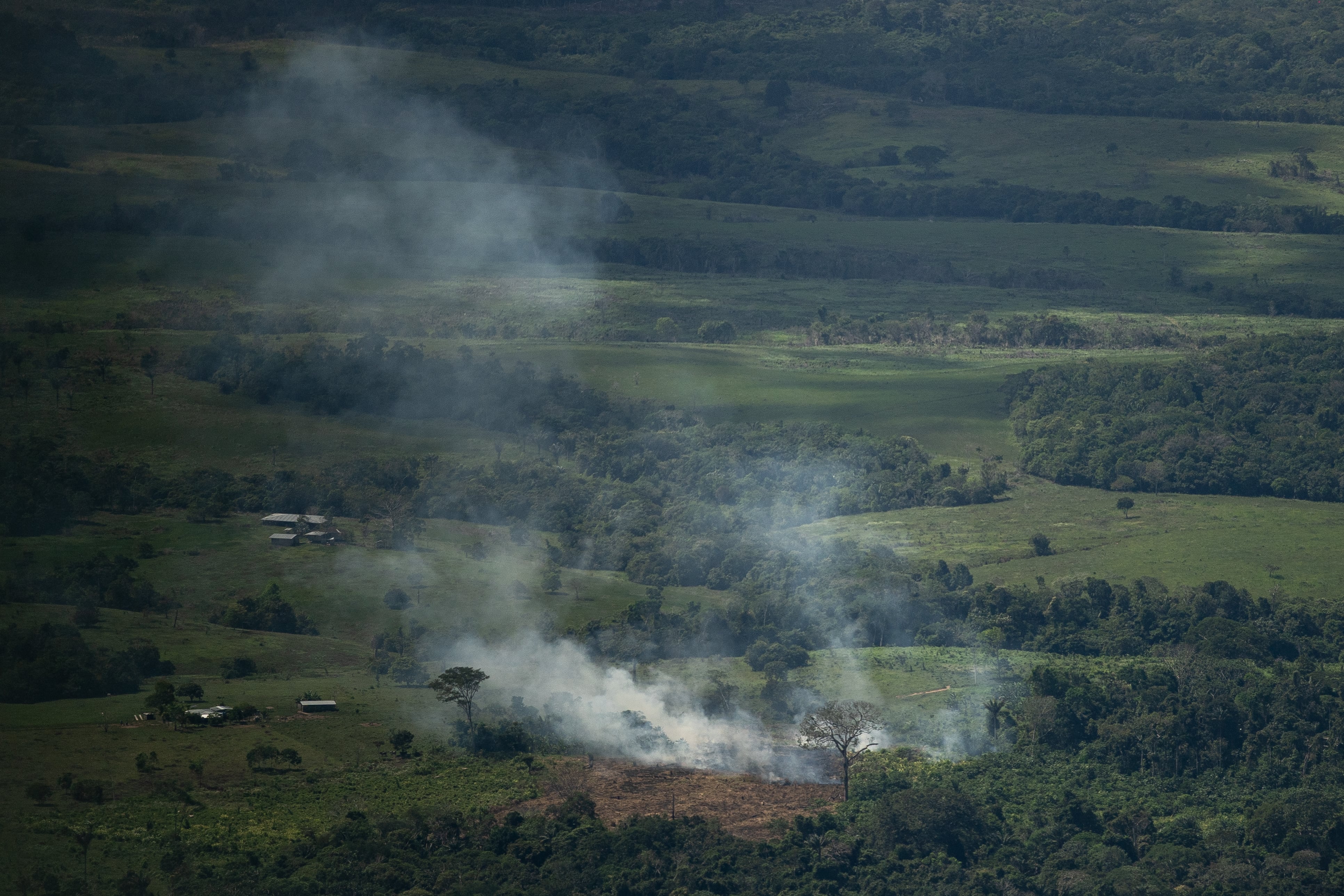 El cambio climático y los candidatos a la presidencia de Colombia: lo que dicen sobre deforestación y energía