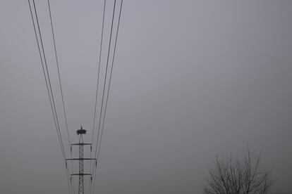 Una cigüeña en su nido situado en el poste de un tendido eléctrico.