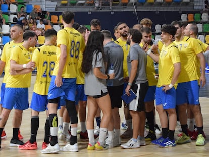 Ciudad Real Liga Asobal