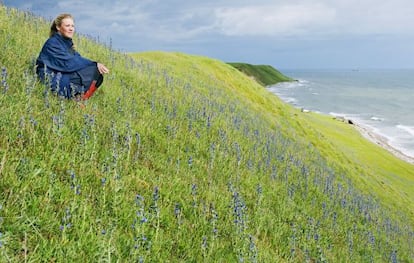 La costa este de Escania, el sur de Suecia, en las cercanías de la localidad de Kaseberga, donde también se encuentra Ales Stenar, el Stonehenge sueco.