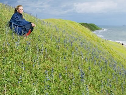 La costa este de Escania, el sur de Suecia, en las cercanías de la localidad de Kaseberga, donde también se encuentra Ales Stenar, el Stonehenge sueco.