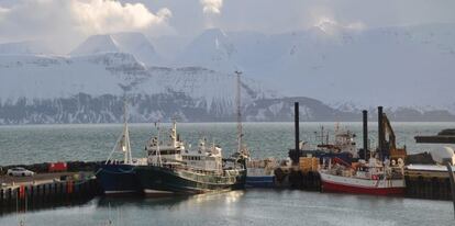 Puerto de Husavik, al norte de Islandia.