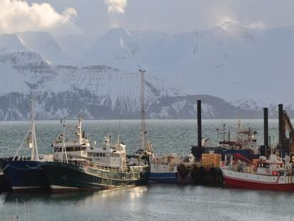 Puerto de Husavik, al norte de Islandia.