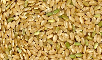 El arroz es el cereal más importante en la alimentación humana.