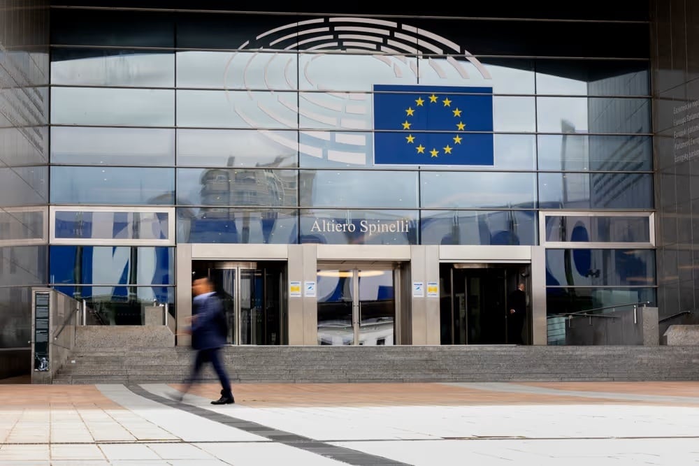 Una persona frente al Parlamento Europeo. 