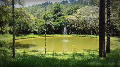 O lago com chafariz operado por gravidade e projetado por Santos Dumont fica em frente ao museu.