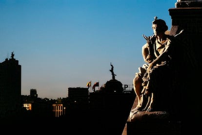 Hasta siete aves fénix planean sobre la ciudad. Coronan los edificios que fueron sede de la aseguradora La Unión y el Fénix y son el símbolo más repetido en los cielos madrileños (quitando a los angelotes de muchos remates). Algunos solo consisten en el pájaro mitológico (como el del Hotel Petit Palace de Virgen de los Peligros, 2), pero en la mayoría un adolescente, identificado como Mercurio en algunos proyectos, cabalga a mujeriega al animal. En esta imagen tomada desde la Biblioteca Nacional, las aves fénix se perfilan en el horizonte.