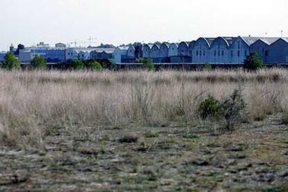 Terrenos de Manises (Valencia) en los que el Ayuntamiento (PP) ha aprobado 9.600 nuevas viviendas.