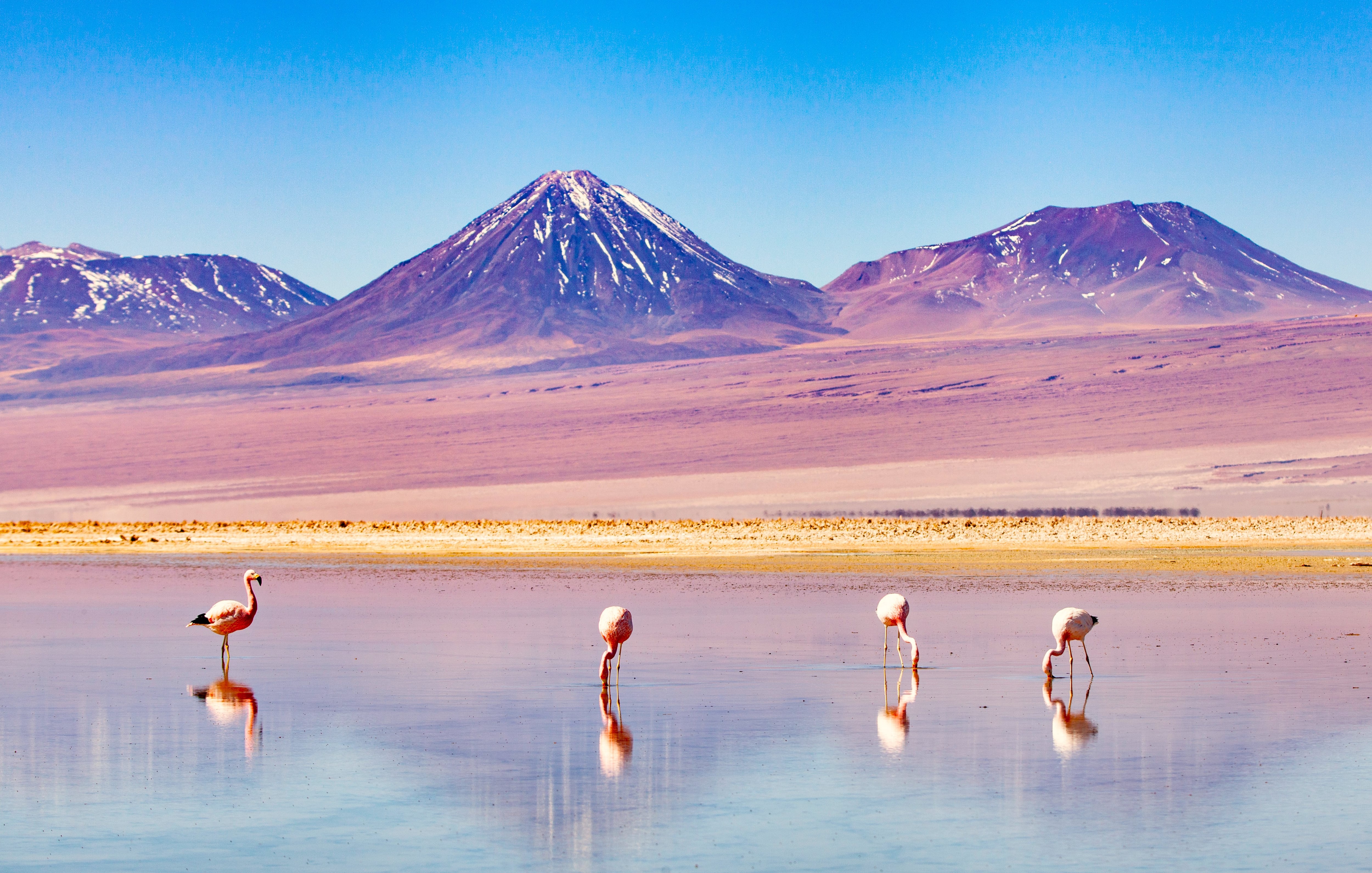 An adventure for the jewels of the Andean Altiplano between deserts, salars, lunar landscapes and geysers