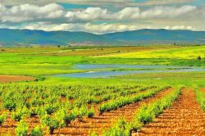 Afloramientos del Guadiana.