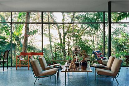 Interior de la Casa de vidrio de Lina Bo Bardi con la vegetación crecida. 