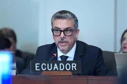 Alejandro Dávalos speaks during a meeting of the OAS Permanent Council, March 9.