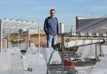 Fernando Maestre, biólogo, ante el experimento sobre cambio climático en la URJC de Móstoles.