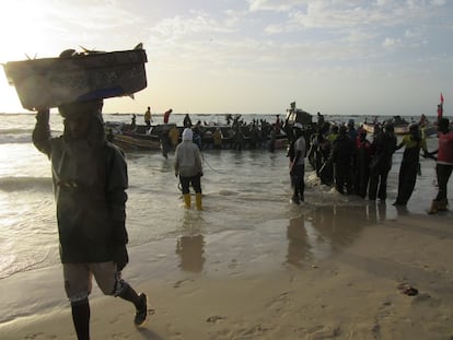 Mar de fondo en Mauritania