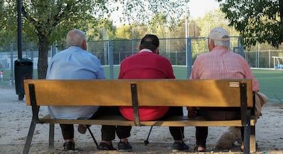 Vaarios jubilados, en un parque de Madrid.