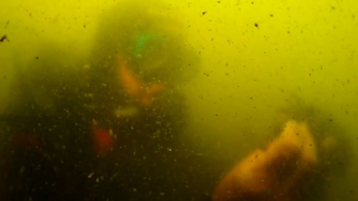 Spain’s unique Mar Menor, 10 years after infamous pollution episode: From the ‘green soup’ to ‘a tiny Mediterranean’