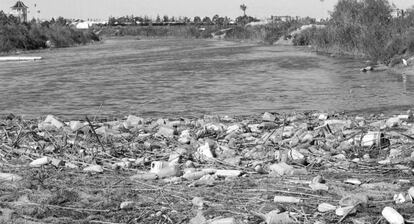 Cientos de botellas de pl&aacute;stico acumuladas en la desembocadura del Segura