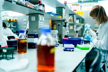 Una científica estudia un tratamiento para el coronavirus en Gante (Bélgica).