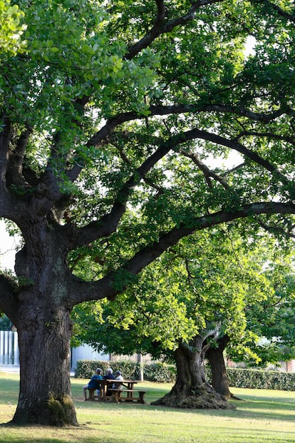 Una de las zonas del Jardín Botánico Atlántico, en Gijón.