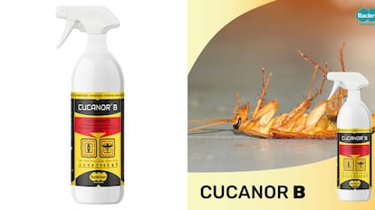 Entre los productos para cucarachas más eficaces se encuentra este insecticida: no deja rastro y es de acción inmediata.