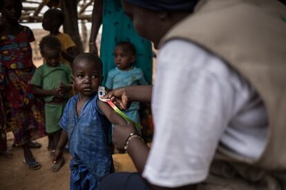 <p>Maguette Diop, una trabajadora sanitaria de Podor, mide el perímetro braquial de los niños menores de cinco años para saber su estado nutricional en la comunidad de Namarel. La falta de lluvia se traduce en falta de pastos y esto, a su vez, en la muerte de animales por inanición. ¿Cuál es la consecuencia? “Los niños se quedan sin leche”, explica Arango. “La leche es la base de la etnia peul [pastoralista] porque están en el desierto y no tienen otros nutrientes: allí no crece la verdura ni la fruta, no hay pescado… La leche supone algo súper importante en su base alimenticia. Y no hay”. </p> <p>Los niveles de desnutrición son persistentemente elevados en Senegal, con un 16,4% de desnutrición crónica en niños menores de cinco años, según el Programa Mundial de Alimentos de la ONU (PMA). El déficit de lluvia ha provocado que los cuatro departamentos afectados registren la tasa más alta de desnutrición aguda en Senegal, según ACH. </p>