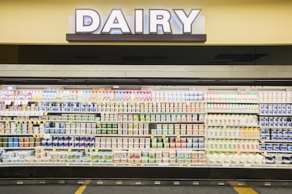 <p>Cuando parecía que el tetra brik había conquistado de por vida el trono de los lineales de los supermercados, <strong>la leche fresca refrigerada vuelve a reclamar su puesto</strong>. ¿Sabe qué diferencias hay entre ambas? La doctora Ana Fuertes, responsable de Industria en Iberia de <a href="http://www.biomerieux.es/" rel="nofollow" target="_blank">bioMérieux</a>, empresa especializada en el control microbiológico alimentario, aclara las dudas.</p> <p><strong>Leche Pasteurizada (o fresca):</strong> "Es aquella sometida al tratamiento de pasteurización, un tratamiento 'suave' que combina tiempo y temperatura, y varía entre fabricantes. Un ejemplo puede ser 85-95ºC durante 2-4 minutos. <strong>La leche pasteurizada no es estéril, solo se reduce la carga general de microorganismos no patógenos</strong>. Por esta razón se mantiene en refrigeración, a unos 4ºC y su caducidad (siempre indicada por el fabricante) suele ser de 3-4 días". Lidl es una de las distribuidoras que apuesta por ofrecer leche fresca pasteurizada bajo la marca Milbona. Frente a la incomodidad de tener que acudir a la tienda con más frecuencia para adquirir la leche, el Instituto de Investigación y Tecnología Alimentaria (IRTA) concluye que <a href="http://www.irta.cat/es/un-estudio-del-irta-revela-que-la-leche-pasteurizada-o-cruda-es-mas-nutritiva-que-la-uht/" rel="nofollow" target="_blank">la leche fresca pasteurizada contiene más proteínas que la leche UHT</a>, si bien el estudio se realizó con terneras y no con humanos .</p> <p>Desde Lidl señalan que la leche pasteurizada da respuesta a una demanda creciente por parte de los clientes. "Mientras que en el mercado global Lidl tiene una cuota del 4,7%, en el de la leche fresca triplicamos nuestra cuota hasta el 13%", señalan a El País desde la cadena alemana.</p> <p><strong>Leche UHT:</strong> Fuertes apunta que "la leche esterilizada, o UHT (siglas en inglés: Ultra High Temperature) es la más habitual en nuestro país, y, en general, en el sur de Europa. <strong>Se somete a un tratamiento térmico más fuerte que la leche pasteurizada</strong> (mínimo 135ºC), pero durante solo unos segundos (por ejemplo, 140ºC durante 2-4 segundos). Con ello se logra una leche comercialmente estéril (no contiene microorganismos ni esporas que puedan progresar en el producto) que hace posible almacenarla a temperatura ambiente hasta seis meses (mientras el envase no sea abierto)". Lo más normal es encontrarla en tetra brik, "pero también en otros tipos de envases, siempre asépticos y opacos de modo que se reduzcan al mínimo las transformaciones químicas, físicas y organolépticas".</p>