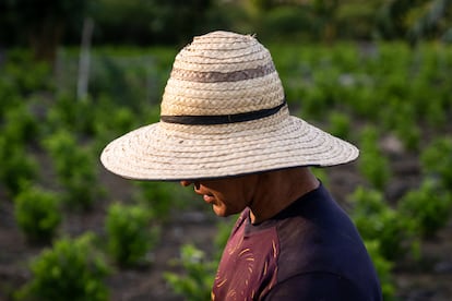 Jefferson Parrado, líder campesino y presidente de la JAC de Nueva Colombia.