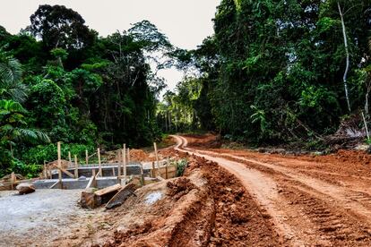 Reparación de las carreteras dentro de la reserva del Dja para facilitar el paso de los camiones madereros.