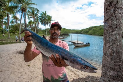 Enquanto navega pelo mangue de Canavieiras, Jailton Santos Santana, de 42 anos, tenta explicar o que o território representa pra ele: "É daqui que eu tiro a minha vida, gente. Criei meus filhos pegando caranguejo aqui". Ele integra uma das 150 famílias que vivem na comunidade de Campinhos, área dentro da Resex de Canavieiras. 