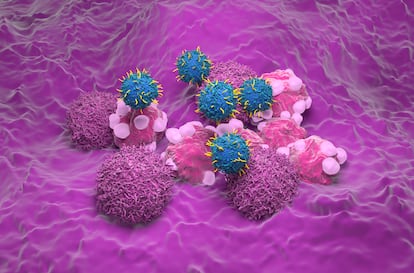 Illustration showing CART-T cells, in blue, attacking head cells, in lilac and pink. 